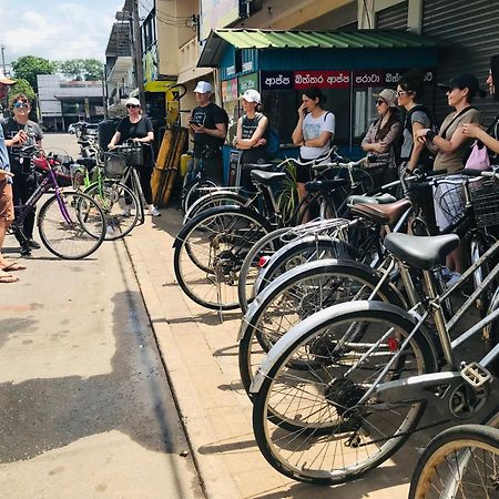 Kingfisher Hostel Anuradhapura Dış mekan fotoğraf